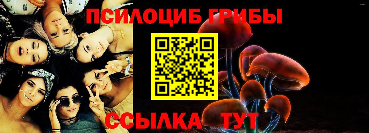 Галлюциногенные грибы Cubensis  Вход с VPN  Воткинск 